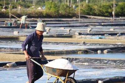 Gia Lai: Sản lượng muối tăng 17,3%