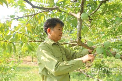 Hội Cựu chiến binh xã Chi Lăng: Đồng hành cùng hội viên phát triển kinh tế