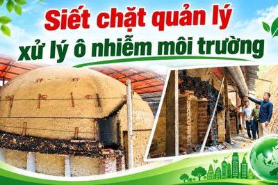 Siết chặt quản lý xử lý ô nhiễm môi trường
