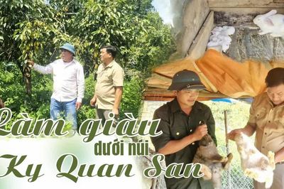 Làm giàu dưới núi Ky Quan San