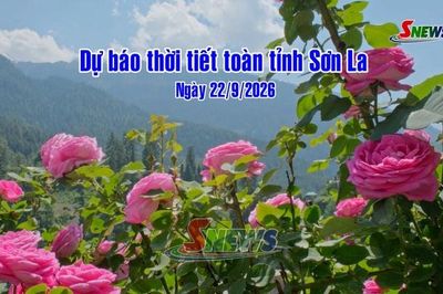 Dự báo thời tiết toàn tỉnh Sơn La ngày 22/9/2026