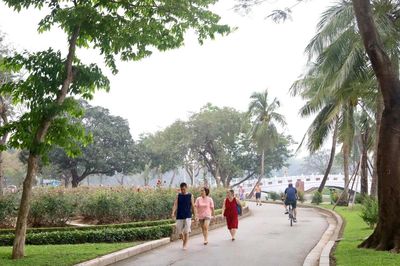 Bộ Xây dựng ban hành Thông tư hướng dẫn quản lý cây xanh đô thị