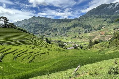 Lào Cai: Từ du lịch cộng đồng đến những sinh kế mới ở Tả Van
