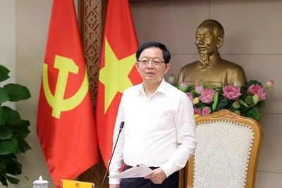 Phó thủ tướng: Nghiên cứu thuế chống đầu cơ, xử lý đất bỏ hoang