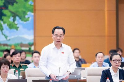 Rà soát toàn diện chương trình, sách giáo khoa