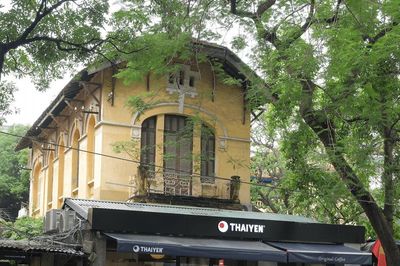 Ai đang sở hữu chuỗi 'CAFE Thái Yên' vừa khiến khách hàng 'chê đắt' khi cốc cà phê tăng giá sát 100.000 đồng?