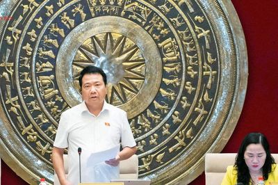 Thẩm tra sơ bộ dự án Luật sửa đổi, bổ sung một số điều của Luật Sở hữu trí tuệ