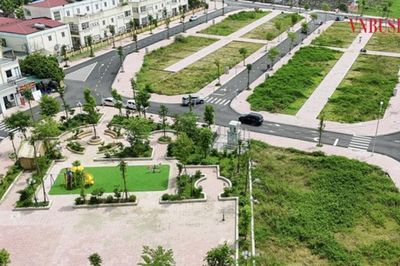 Đất đấu giá có thực sự 'mất nhiệt'?