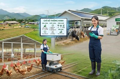 Ngành chăn nuôi trước cuộc sàng lọc của thị trường