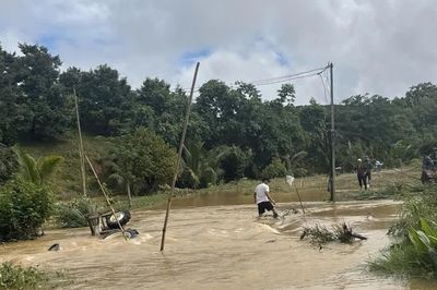 Mưa lớn gây sạt lở, hư hại nhà dân và cây cối tại Lâm Đồng