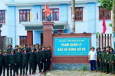 Nỗ lực bảo vệ 'lá phổi xanh' ở thành phố bên sông Hàn trong mùa mưa lũ
