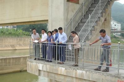 Ban Kinh tế - Ngân sách HĐND tỉnh giám sát thực địa các dự án đầu tư công tại phường Tân Giang
