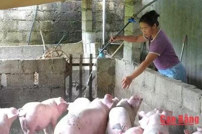 2.527 hộ dân được hỗ trợ vốn phát triển sản xuất, kinh doanh