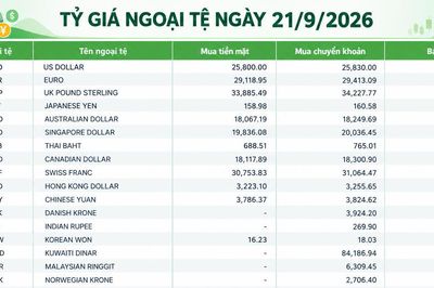 Tỷ giá ngoại tệ ngày 21/9: USD ở mức 26.210 đồng, GBP vượt 35.300 đồng