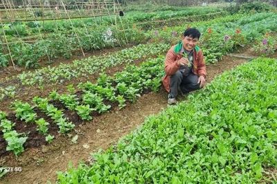 Nhóm rau hữu cơ Trại Hòa trở lại PGS: Niềm tin được khôi phục từ sự đồng hành