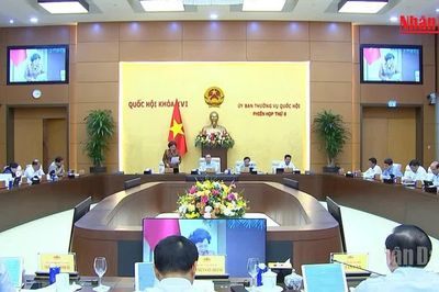 [Video] Đề nghị rà soát kỹ việc miễn thuế cho đơn vị cung cấp suất ăn trường học, bệnh viện