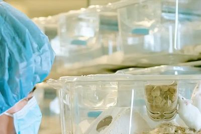 Gene mới liên quan kháng thuốc điều trị ung thư máu