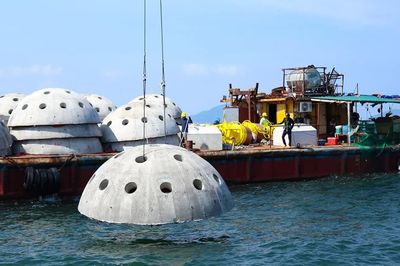 Hà Tĩnh dùng tiền Formosa bồi thường để làm 'nhà' cho tôm cá
