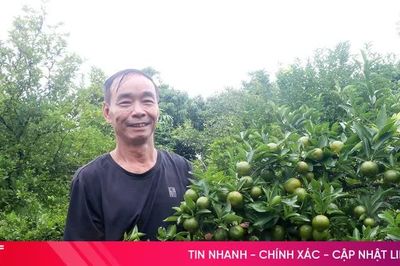 Khai thác lợi thế, nâng giá trị kinh tế vườn đồi Xuân Lộc