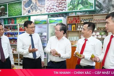 Tăng cường hỗ trợ nông dân tiếp cận công nghệ, chuyển đổi số