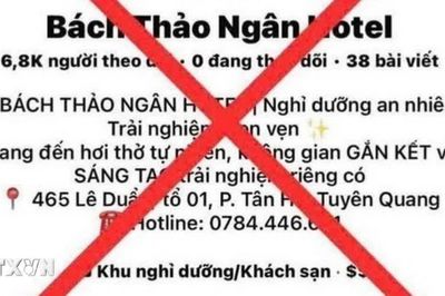 Cảnh báo việc lợi dụng sức hút của Lễ hội Thành Tuyên để lập các Fanpage lừa đảo