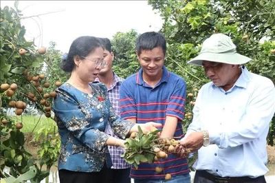 Triển khai chính sách hỗ trợ thực chất phát triển bền vững sản phẩm OCOP
