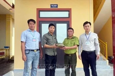 Tiếp nhận, cứu hộ 3 cá thể động vật hoang dã