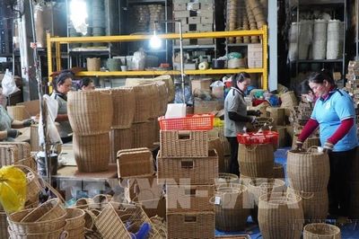 Thương mại Việt Nam–Canada hướng tới liên kết chuỗi giá trị