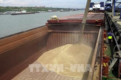 Nga miễn thuế xuất khẩu ngũ cốc đến cuối năm 2026