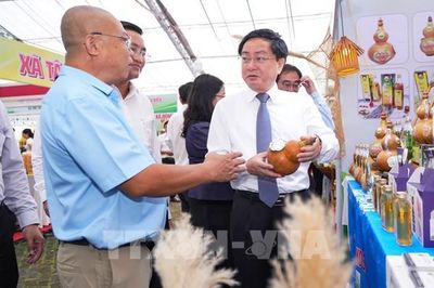 Khi nông sản Tây Ninh không còn chỉ bán bằng sản lượng