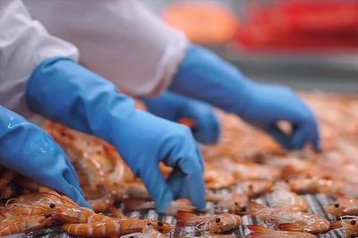 Thủy sản Việt chịu sức ép kép tại Mỹ