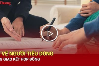Bảo vệ người tiêu dùng trong giao kết hợp đồng