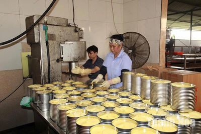 Doanh nghiệp xuất khẩu tìm cách giảm phụ thuộc vào một thị trường