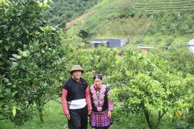 Hua Tạt phát triển nông nghiệp sinh thái gắn với bảo vệ rừng