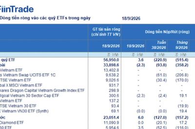 Đến lượt các ETF nội mạnh tay rút ròng