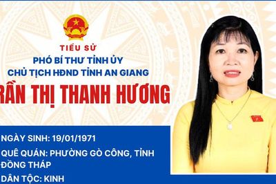 Tiểu sử của đồng chí Trần Thị Thanh Hương