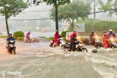 Lũ trên sông Đồng Nai ở mức báo động 2, cảnh báo ngập lụt một số khu vực