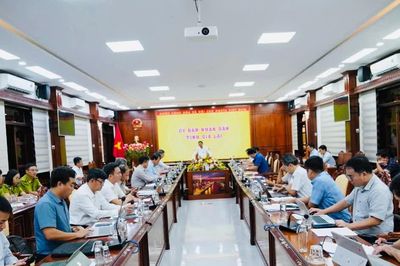 Khẩn trương đẩy nhanh giải phóng mặt bằng, thi công tuyến cao tốc Quy Nhơn - Pleiku