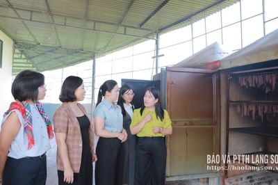 Khảo sát, đánh giá thực trạng các mô hình khởi nghiệp do phụ nữ làm chủ trên địa bàn tỉnh
