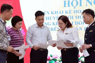 Thuế cơ sở 6 tăng cường quản lý lĩnh vực thương mại điện tử
