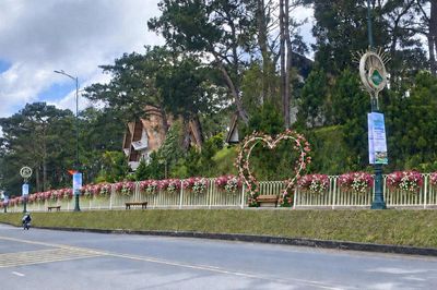 Trồng hoa, cây xanh hướng tới Festival Hoa ở Xuân Hương - Đà Lạt