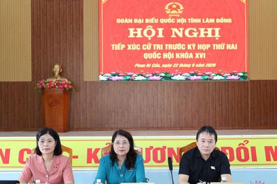 Cử tri Phan Rí Cửa kiến nghị sớm đầu tư khu neo đậu tránh trú bão cho tàu cá