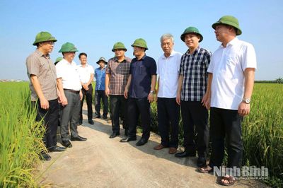 Đồng chí Phó Chủ tịch UBND tỉnh Trần Anh Dũng kiểm tra tình hình sản xuất lúa vụ mùa và công tác khắc phục hậu quả sau mưa, lũ