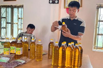 Vốn chính sách tiếp sức cho nông dân