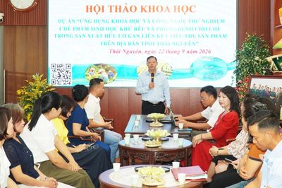 Ứng dụng chế phẩm sinh học trong sản xuất chè hữu cơ