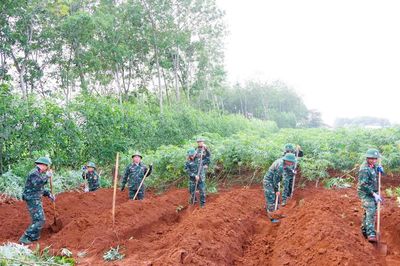 Quảng Trị: Tìm kiếm hài cốt 11 liệt sĩ đặc công hy sinh tại khu vực Dốc Miếu