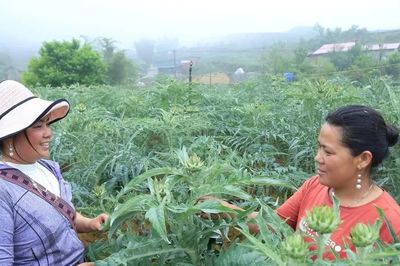 Mở lối cho sản vật vùng cao bằng công nghệ