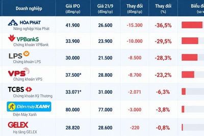 'Nỗi buồn' cổ phiếu IPO: HPA, VPX giảm mạnh nhất