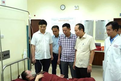 Vi khuẩn Escherichia coli và Bacillus cereus khiến 222 công nhân ở Huế nhập viện