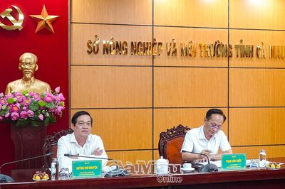 Đề xuất sắp xếp, giảm đầu mối ban quản lý rừng